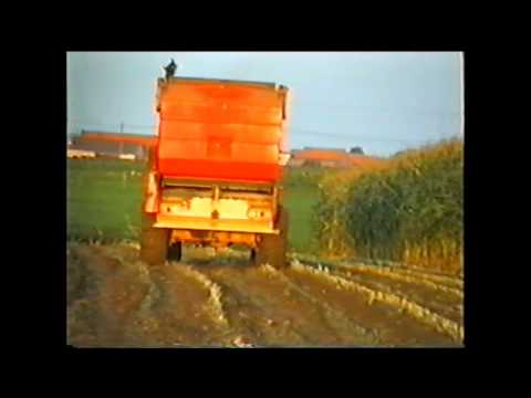 Loonw Maesen - Beselare