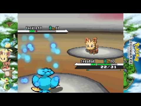 Let's Play Pokemon Schwarz [4] - Der erste Orden