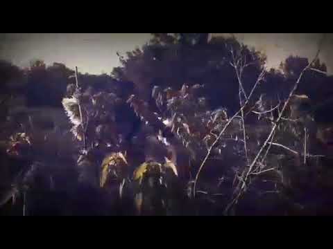 Deusas da Guerra versão Karla Tauanna