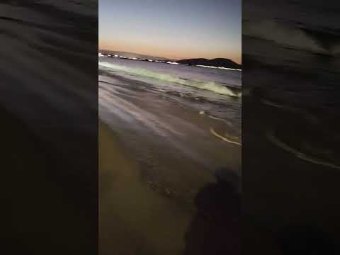 são Francisco do Sul SC