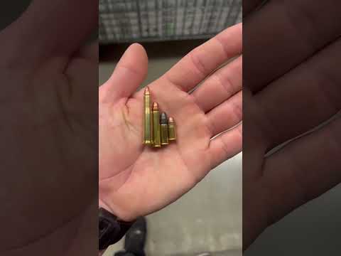 .22 Hornet, .22 Magnum, .22LR, and .22 Short size comparison!🔥🦅🤘🏻🇺🇸 #subscribe #viral #crazy
