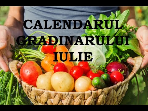 , title : 'Calendarul grădinarului- luna IULIE. Ce plantăm, ce semănăm și ce activități avem în grădină'