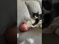 Cat Rests Open Paws on Sleeping Baby