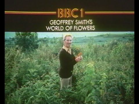 Sunday 2nd October 1983 BBC1