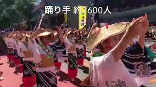 こしきの…今日 ✽故郷への思い✽