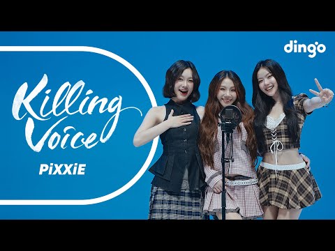 dingo thailand and 딩고 뮤직 / dingo music