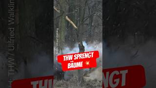 Download lagu 🧨 THW blows up trees 🔵⚪️ #firebrigade #thw #firebrigadelife mp3