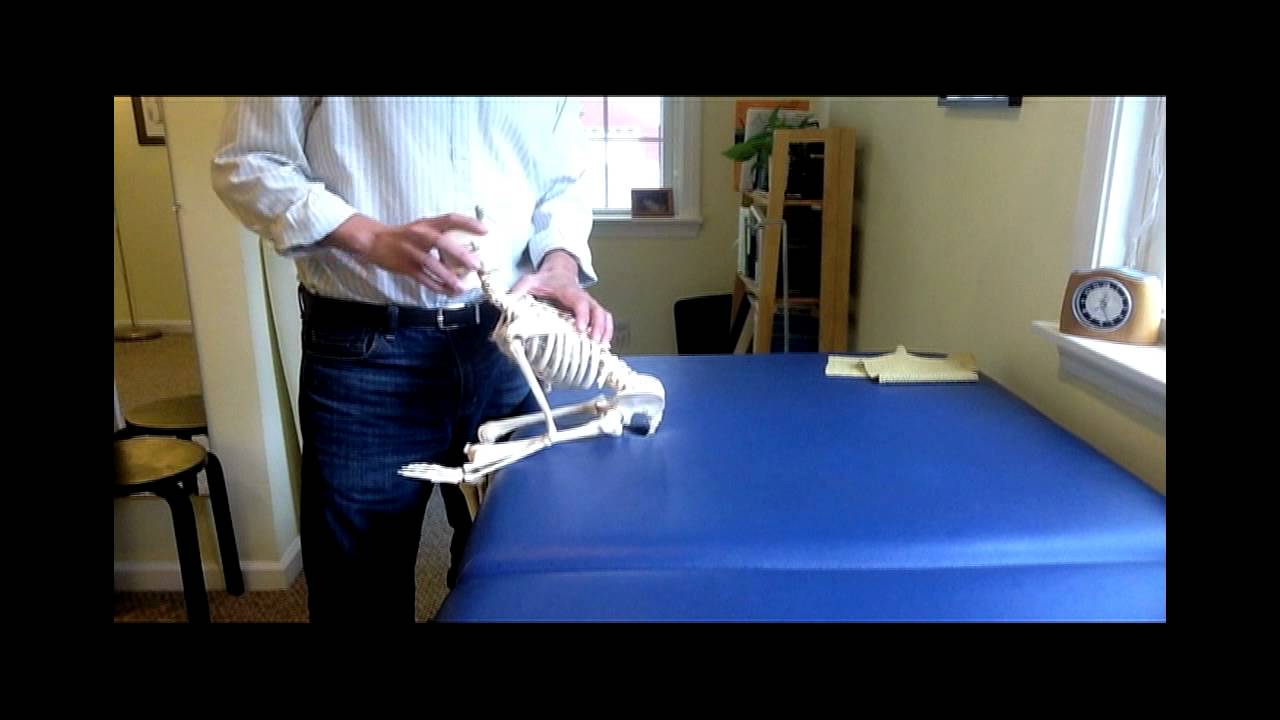 Improve Posture Using the Alexander Technique