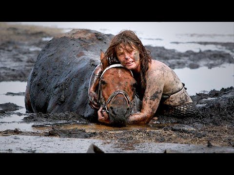 Tierarzt schaut panisch auf die Uhr und die Flut kommt, plötzlich hört das Pferd ein Brummen!