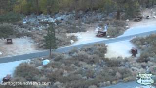 Big Trees Campground Video