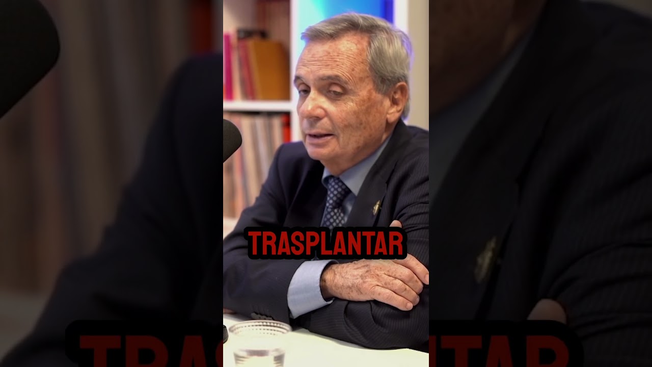 🫀 Los órganos trasplantables: por qué el riñón es el más fácil de trasplantar
