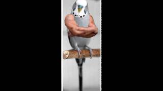 Dr. Octagon - A Visit to the Gynecologyst