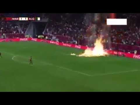 The best goal in 2021 #algeria vs #morocco #belaili