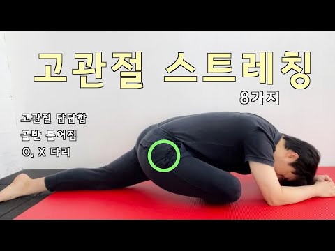 고관절 스트레칭 = 골반교정 ➕무릎교정