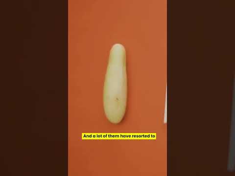 Drop a 🙌🏽 if you'd invest in sex toys! #shorts #sextoys #sexualhealth