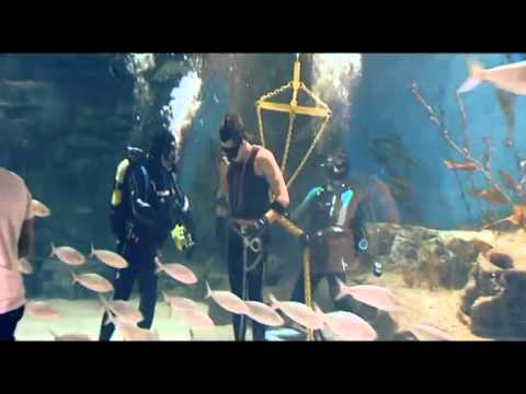 Cosentino Anchored Escape at Melbourne Aquarium.