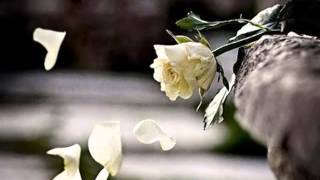 &quot;Come Si Fa&quot; - *Pooh*