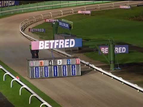 2017 BETFRED PUPPY TROPHY - T4 SPORTING DAVE