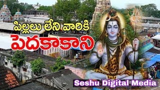 Temple video