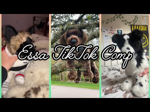 Essa TikTok Comp | none are mine | credits to original owners