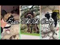 Essa TikTok Comp None Are Mine Credits To Original Owners