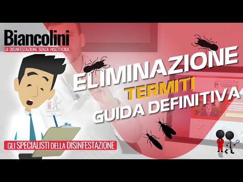 🔴​⚠️Come eliminare le termiti: la guida definitiva🔴​⚠️