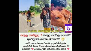 Download lagu දවසක උතුරන්න හරියන්න ඕනා ❤️ mp3