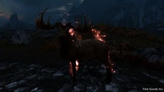 Огненные существа мод на Skyrim