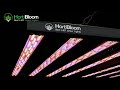 Hortibloom Mega Optic 800W LED grow light review