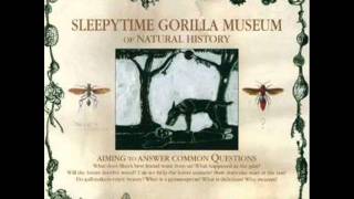 The 17-Year Cicada by Sleepytime Gorilla Museum