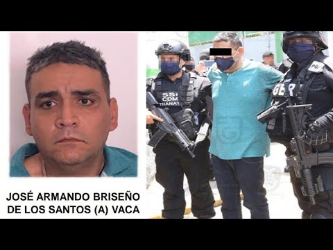 Declaración de "El Vaca"; orquestador del atentado contra Omar García Harfuch