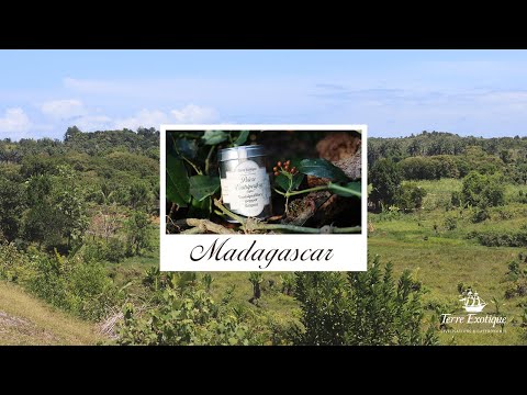 Carnet de voyage Terre Exotique : Madagascar 2019 -  Poivre Voatsiperifery