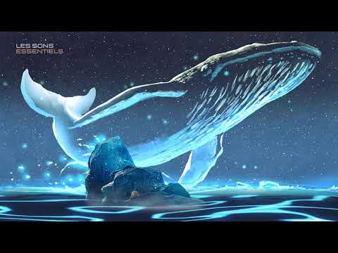 SLEEP in less than 15 minutes - Natural Whale and Dolphin Songs | relaxing music | Ocean