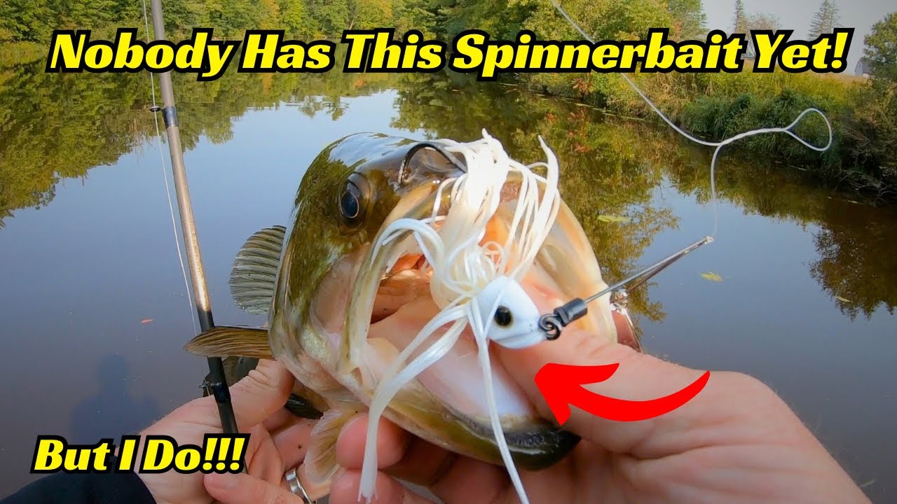 Nobody Has This Spinnerbait Yet! But I Do!