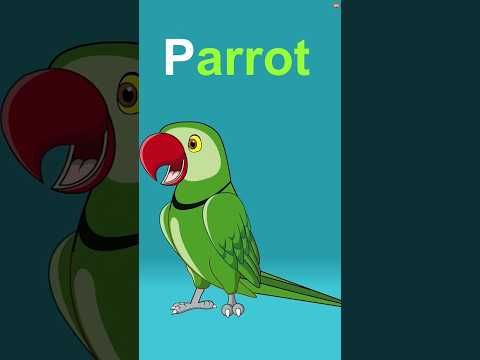 🔠 Alphabet Song | Phonics Song @ZingyKidz