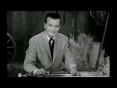 Steel Guitar Legends