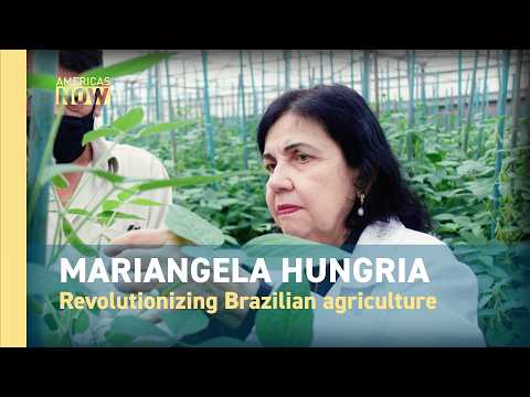 Meet Mariangela Hungria:  the scientist revolutionizing Brazilian agriculture