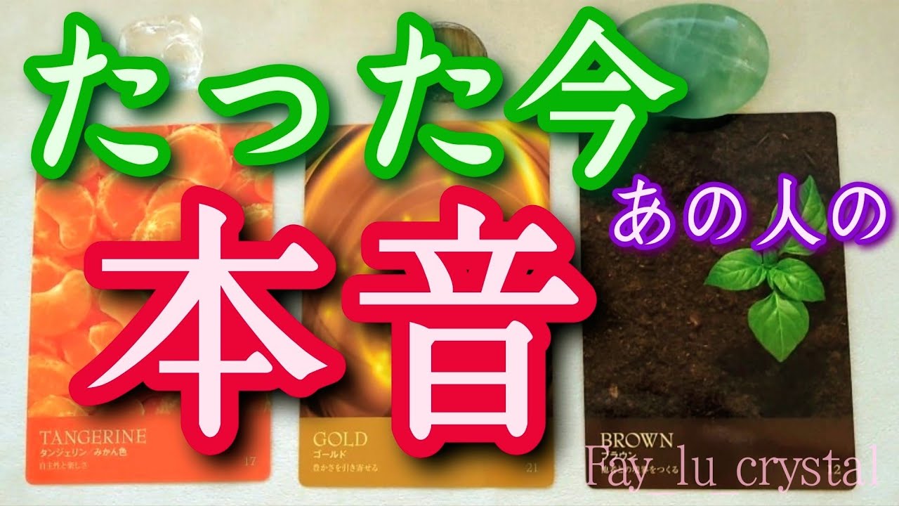 たった今お相手の【本音】忖度無し辛口有り❤️‍🔥サイキックタロットリーディング🪬人間関係・恋愛・仕事関係