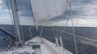 Sailing in the Falcon Cup
