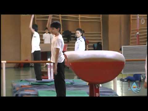 gimanasia deportiva masculina  juegos deportivos de navarra ardoi 8