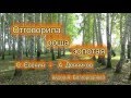 "Отговорила роща золотая" Сергей Есенин - Андрей Денников 