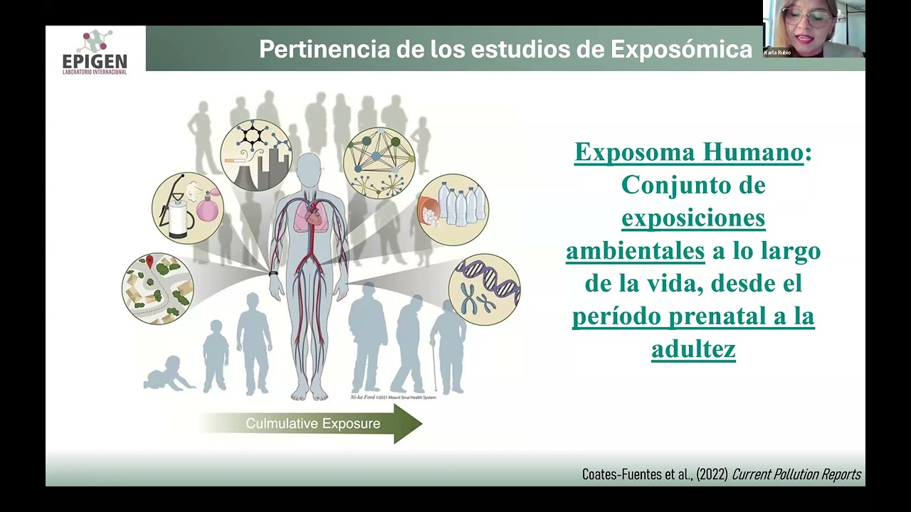 Impacto ambiental sobre firmas epigenéticas reguladoras de la topología nuclear en cáncer de mama