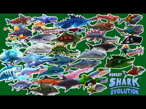Hungry Shark Evolution - All Sharks Unlocked 2020 - All 23 Skins Unlocked FOR ALL SHARKS