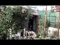Kitchen Garden Overview Garden In Home Ideas April 2017 Urdu Hindi