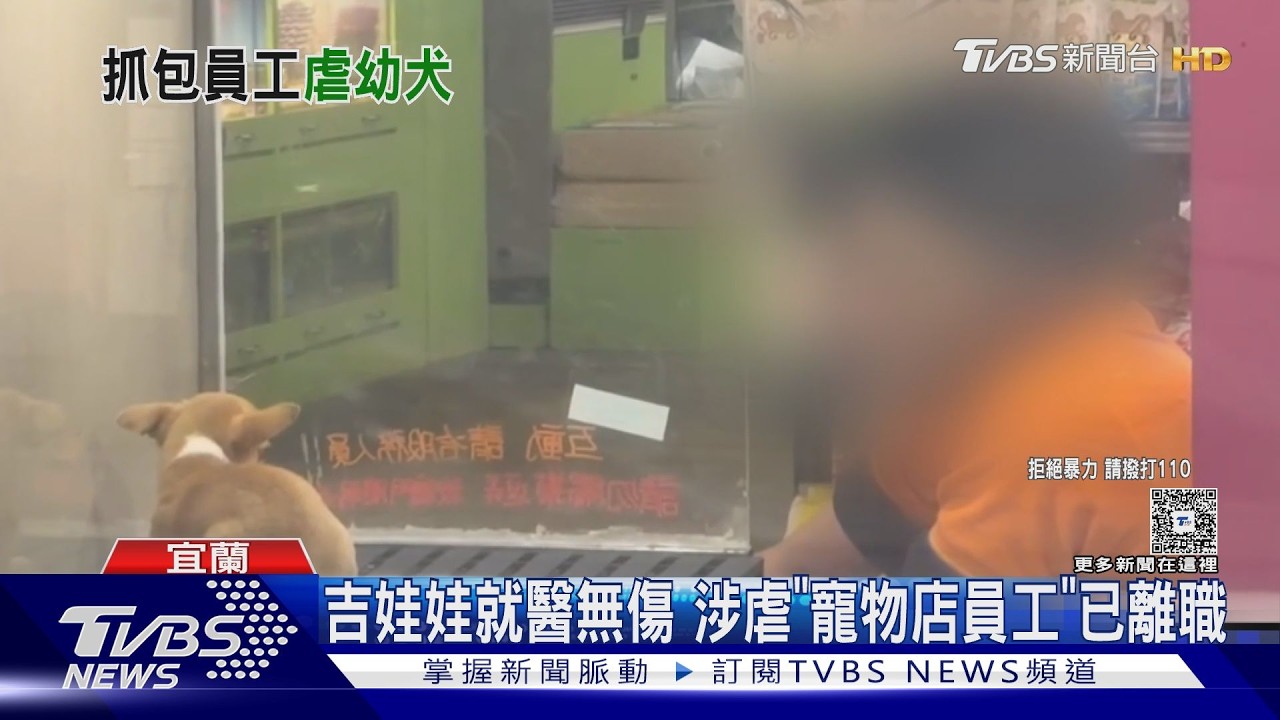 寵物店遭控虐狗!男店員疑「掐頸逾10秒」吉娃娃動彈不得