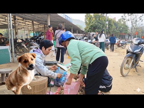 The difficult life of Trieu Thuan and his intelligent dog Rocky.