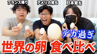 世界で食べられている色んな卵を実食!不味い?旨い?