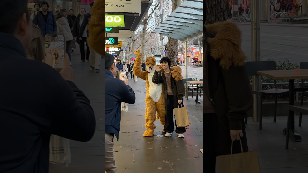 Miniature de la vidéo A foxy time was had at the Victorian premiere of The Fox at MIFF last night. du film The Fox