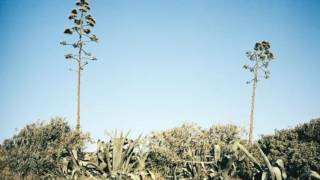 Lost in Madrid-Mountain 5