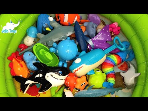 Fun Sea Animals for Kids in water| Learn Sea Creature Names &  one line facts| Underwater Animals